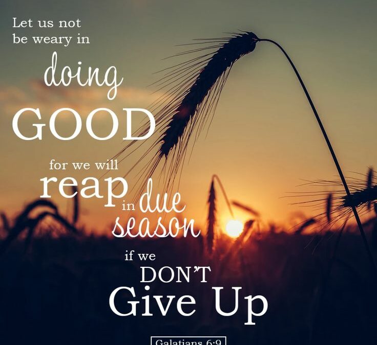 Do you Struggle with Weariness?