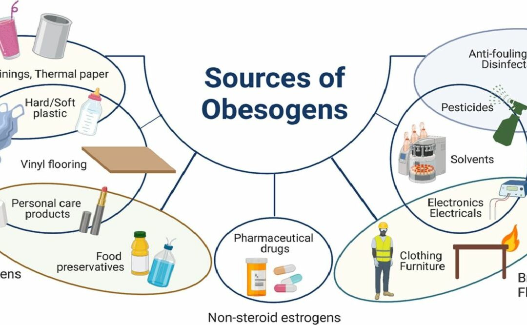 Are You Suffering with the Effects of Obesogens & Unaware?   Let’s Fix That Today!