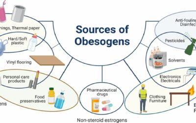 Are You Suffering with the Effects of Obesogens & Unaware?   Let’s Fix That Today!