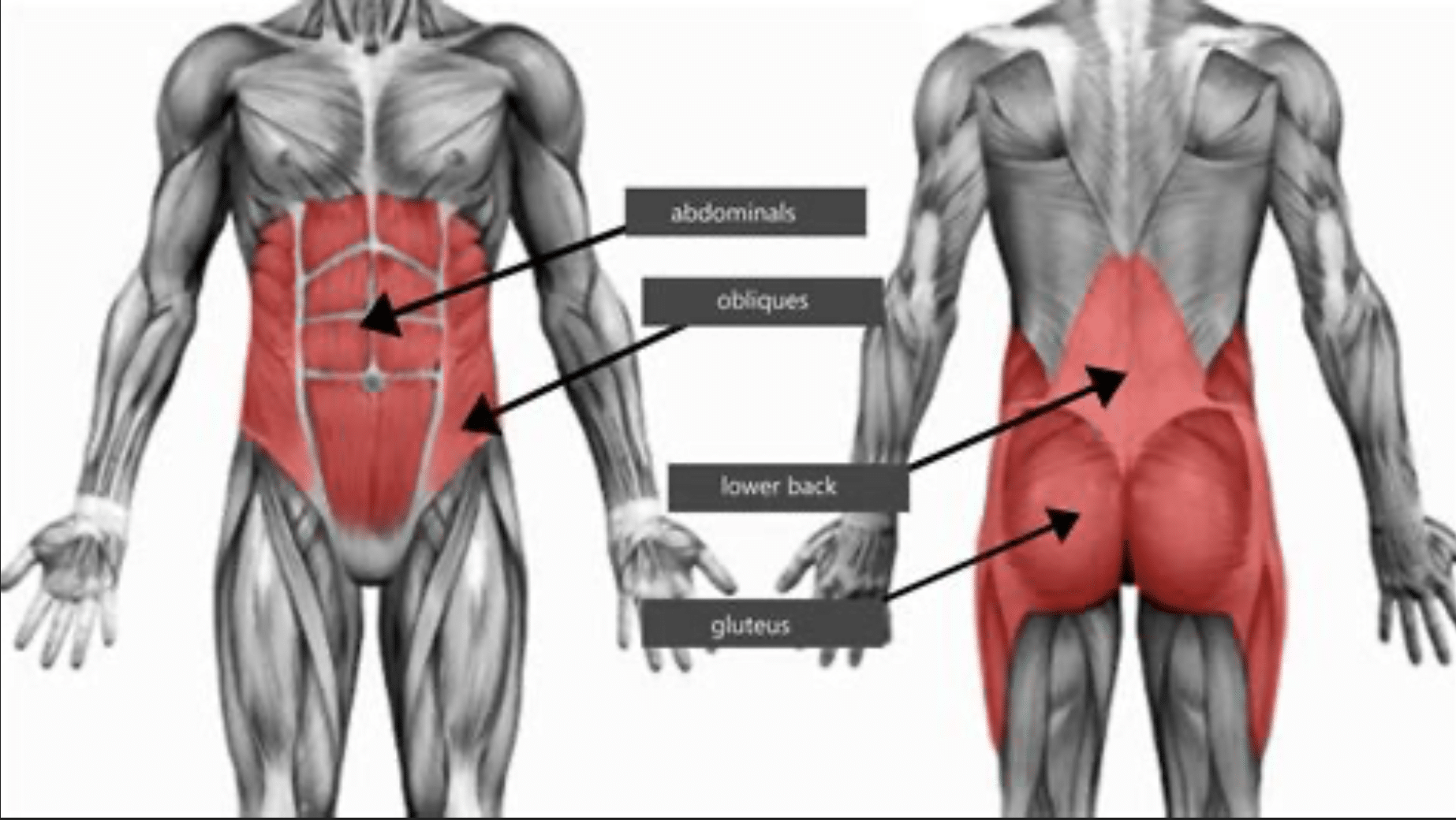 5 Reasons to Start Building STRENGTH in Your Core Today!! - Clearview ...